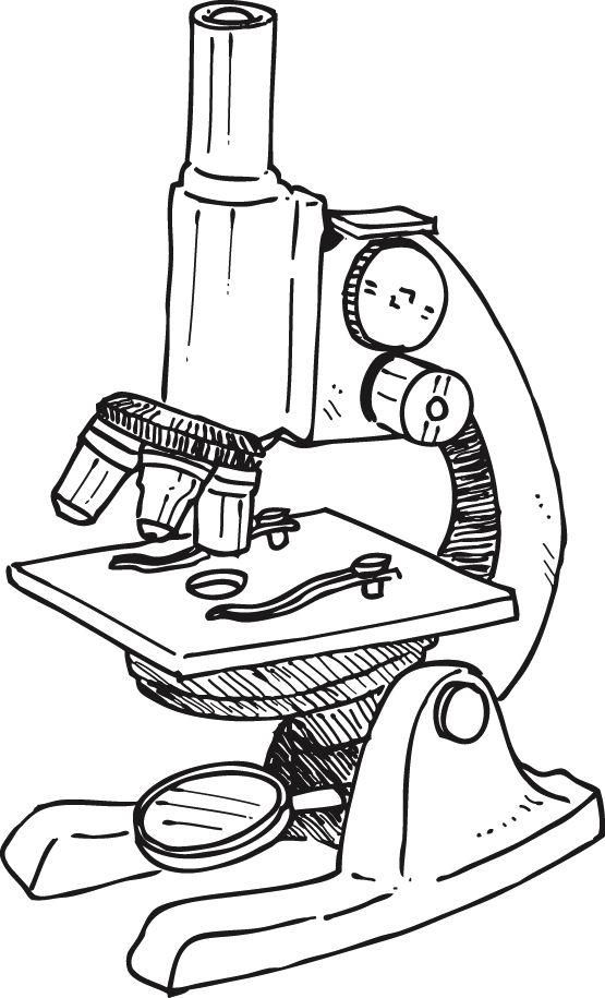 Pin by teresa torres on ill sketch that easy drawings microscope art hand art drawing