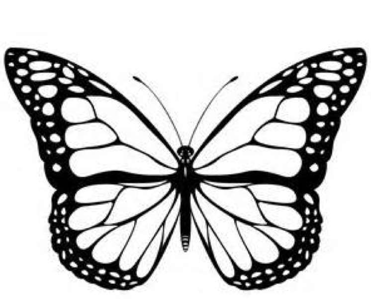 Monarch butterfly coloring page coloring book butterfly printable butterfly clip art butterfly coloring page