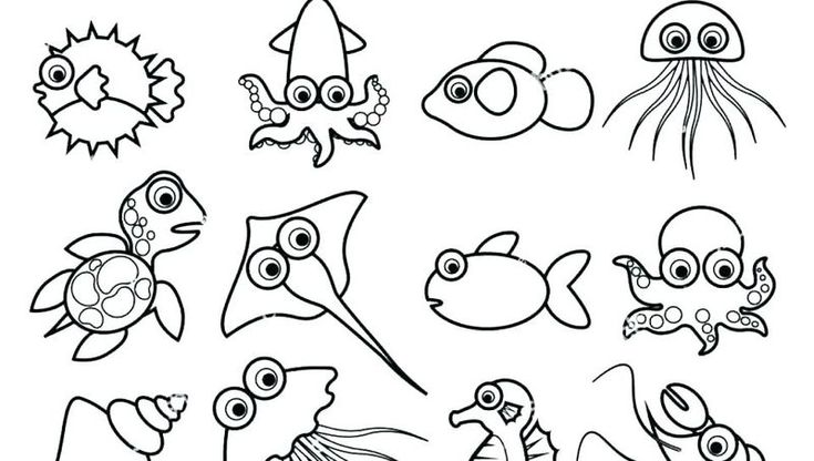 Ocean plants coloring pages in ocean coloring pages zoo animal coloring pages turtle coloring pages