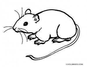 Mouse coloring pages printable animal coloring pages minnie mouse coloring pages coloring pages