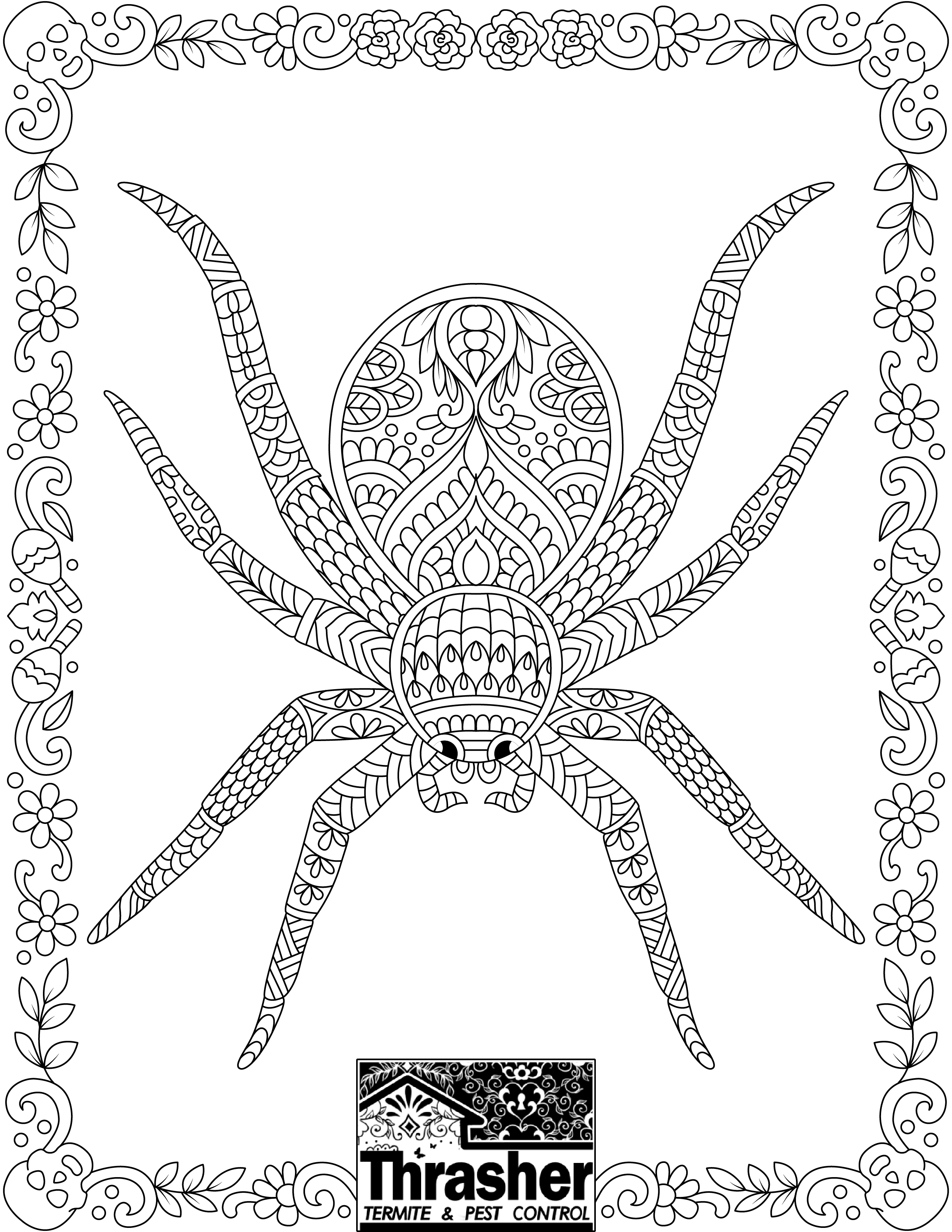 Spider coloring page thrasher termite pest control