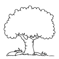 Top tree coloring pages for your little ones