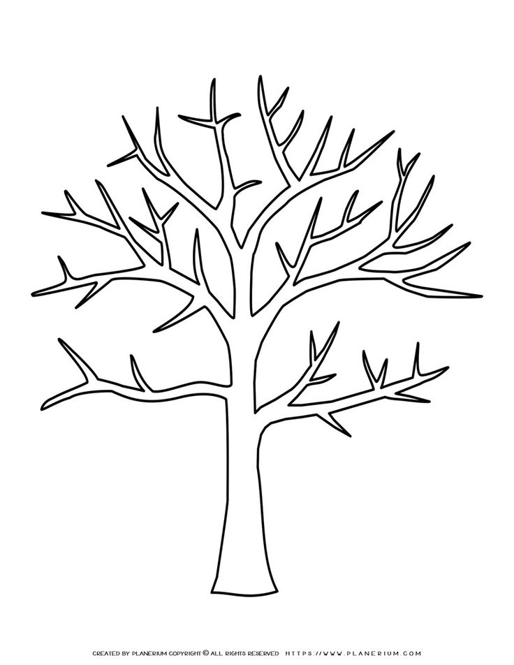 Tree outline