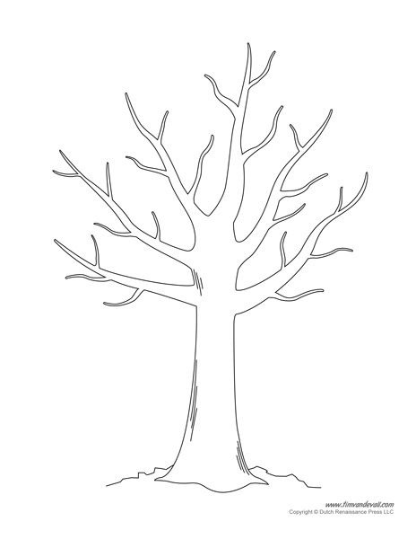 Tree templates tree printables â tims printables tree templates tree coloring page tree drawing