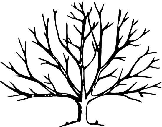 Printable tree without leaves coloring page sketch template tree outline tree coloring page leaf coloring page