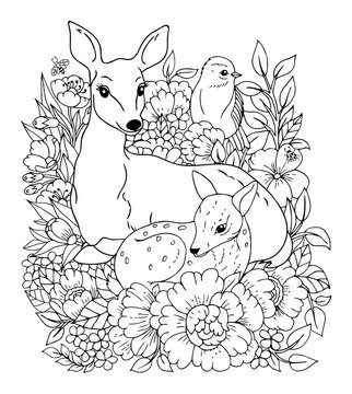 Bird and flower coloring pages images â browse photos vectors and video
