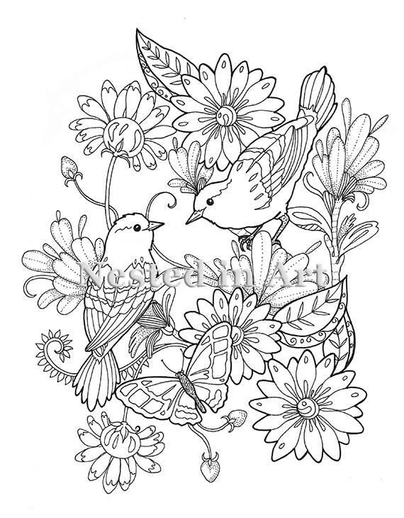 Adult coloring page birds and butterfly floral dign