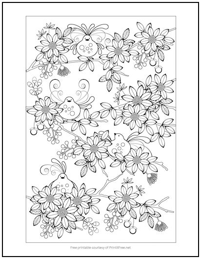 Birds and flowers coloring page print it free