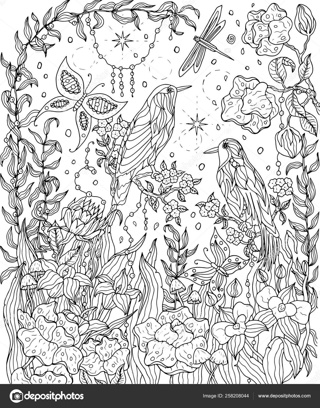 Birds and flowers coloring page birds of paradise vector illust stock vector by svetlam
