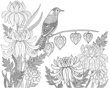 Bird and flower coloring pages images â browse photos vectors and video