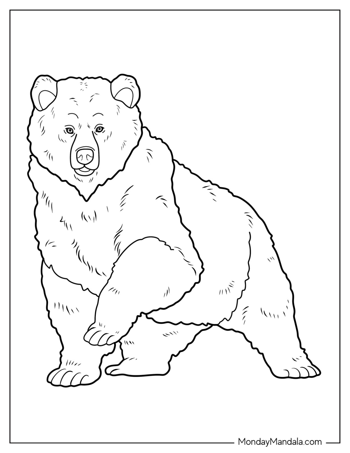Bear coloring pages free pdf printables