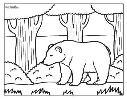 Bear coloring pages