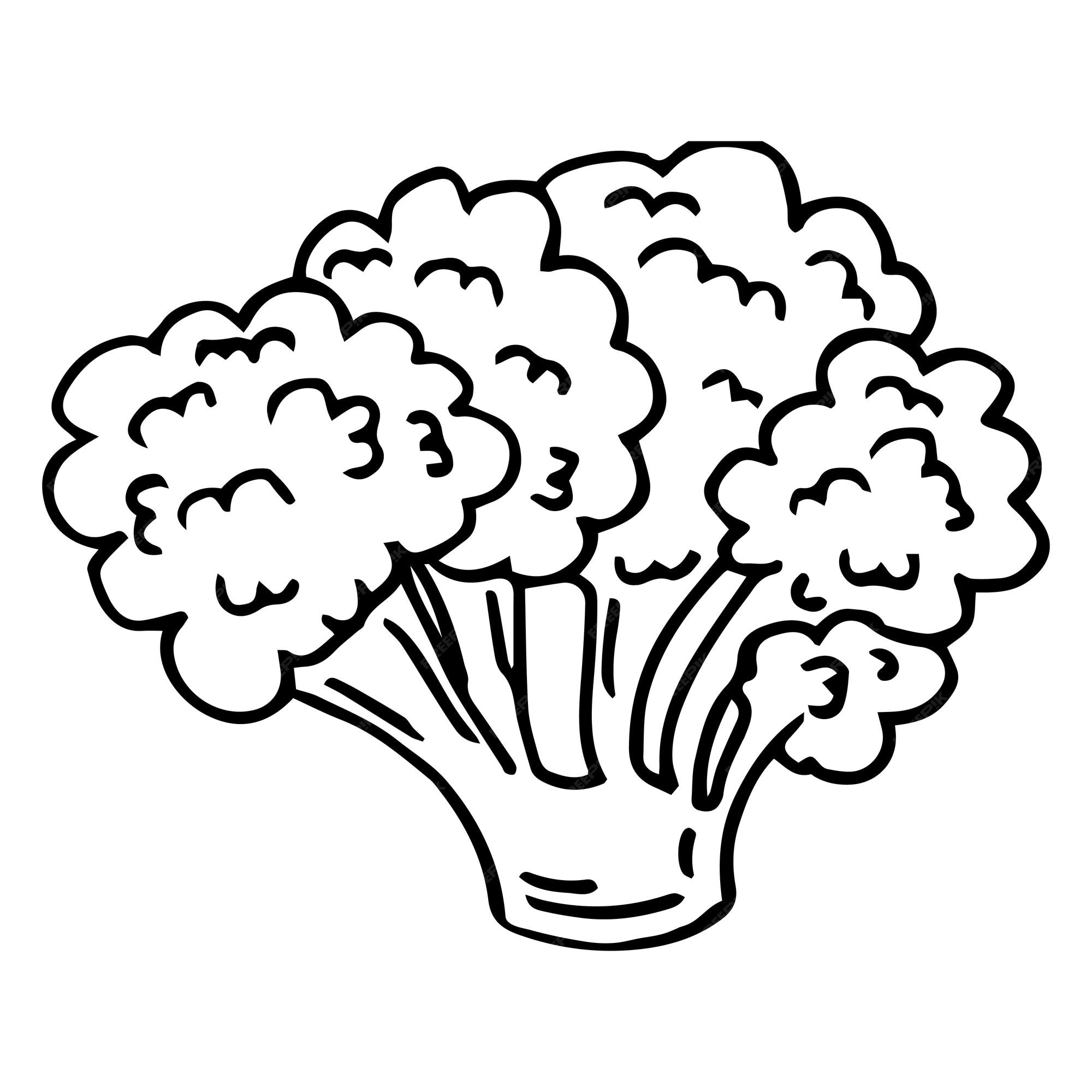Premium vector broccoli coloring page for kids