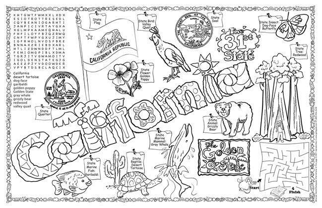 California symbols facts funsheet âãã pack of rd grade social studies homeschool social studies th grade social studies
