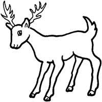 Deer antlers coloring pages
