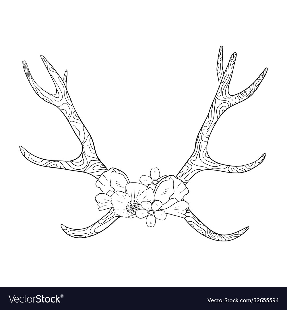 Black and white boho deer horns coloring book vector image