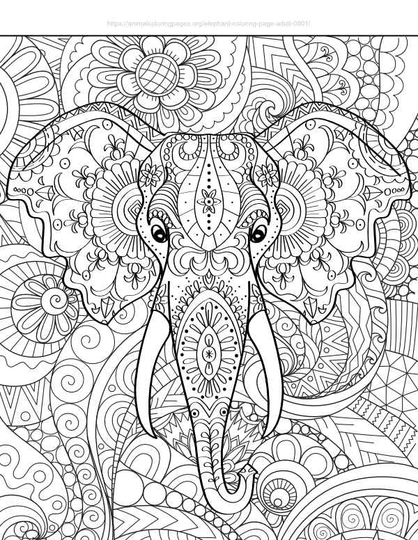 Adult elephant coloring sheet facing forward