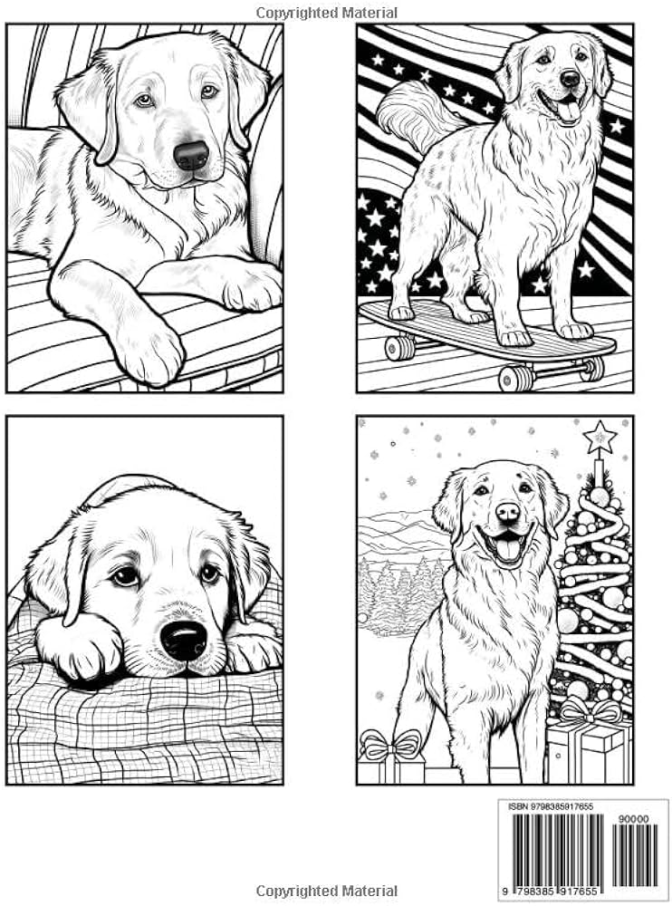 Golden retriever coloring book fun and easy dogs coloring pages in cute style with golden retriever for kids adults dogs coloring books for kids adults sommer alura books