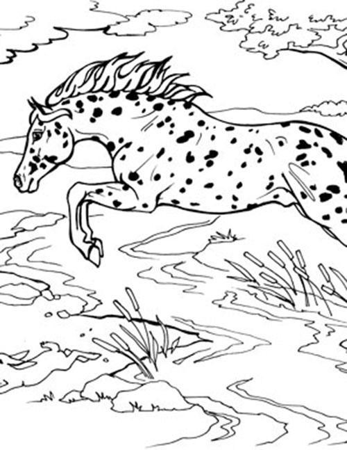 Jumping pony coloring page