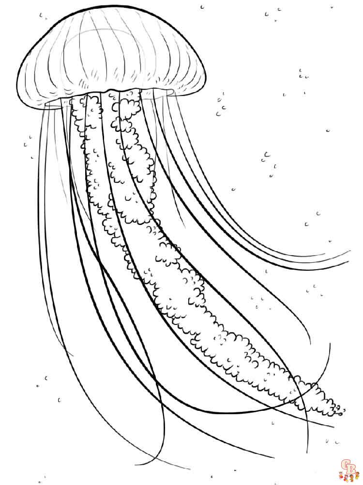 Jelly fish coloring pages free printable