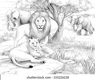 Safari lions elephants coloring page illustration stock illustration