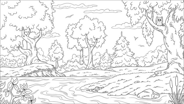 Nature coloring page images â browse photos vectors and video