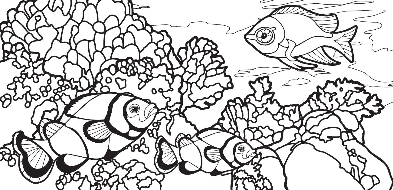 Nature coloring sheets cook museum of natural science