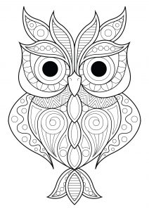 Owls