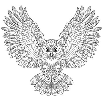 Owl coloring pages images â browse photos vectors and video