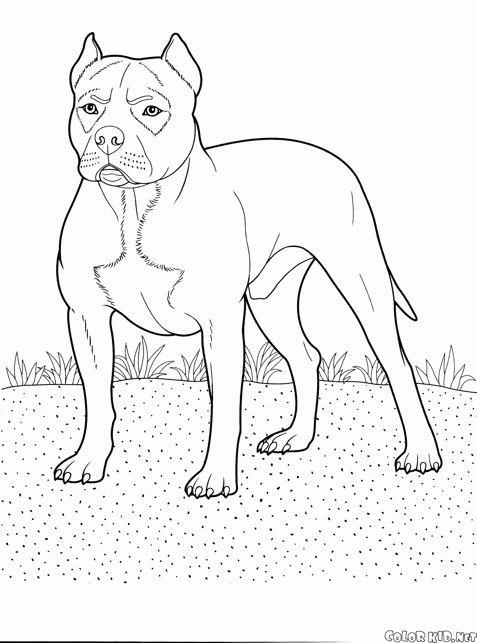Coloring page
