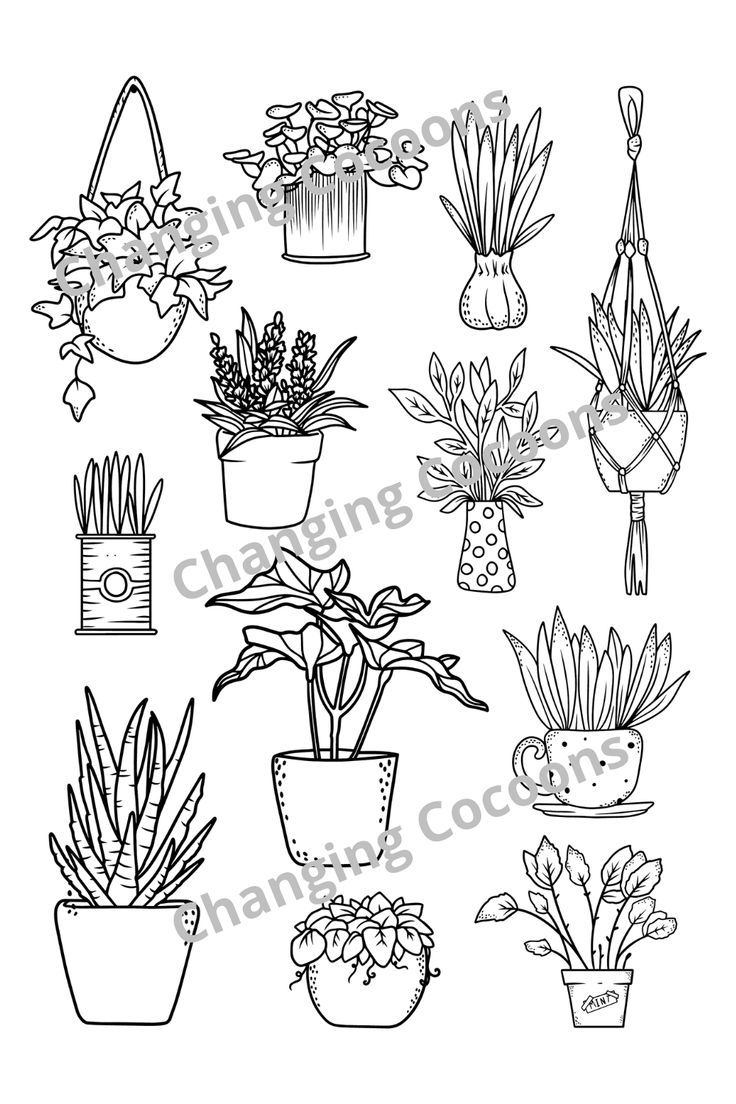 Pin on printables
