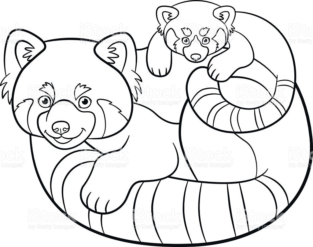 Coloring pages mother red panda with her cute baby panda coloring pages puppy coloring pages red panda