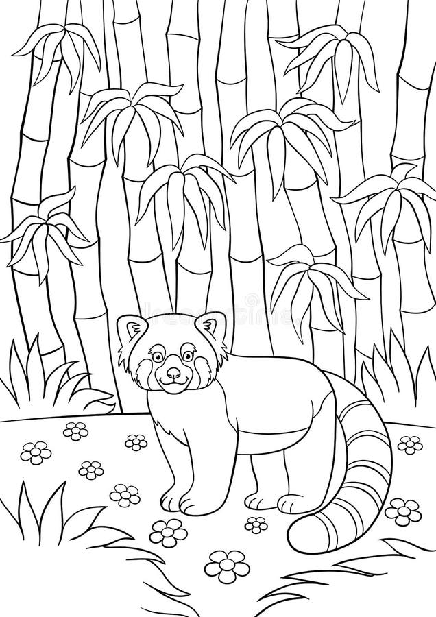 Coloring pages little cute red panda in the forest stock vector