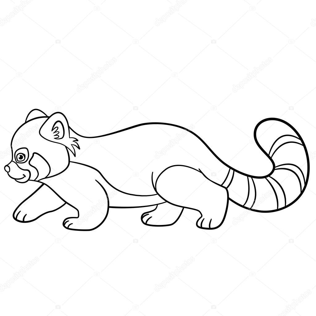Coloring pages little cute red panda walks stock vector by ya