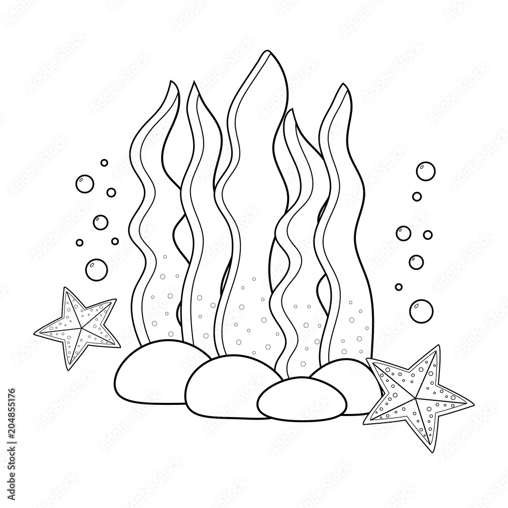 Coloring page for kids underwater seaweeds and starfish vector illustration vector
