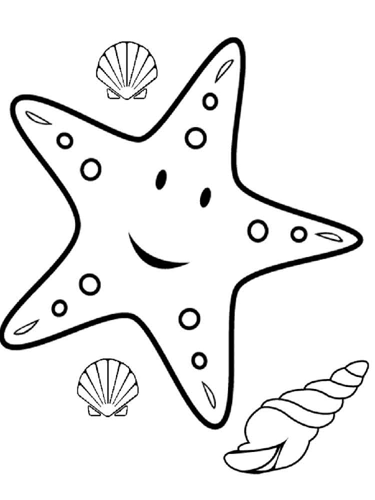 Starfish coloring pages to download and print for free