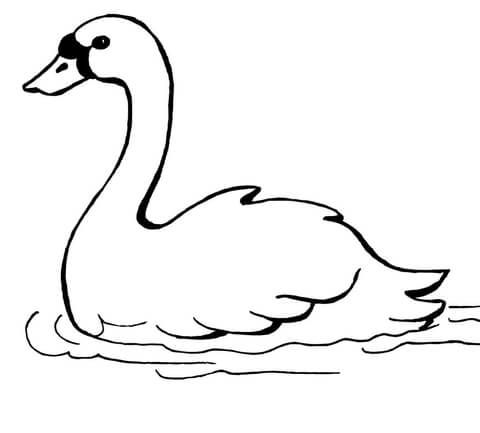 Swan swimming coloring page free printable coloring pages animal coloring pages free printable coloring free printable coloring pages