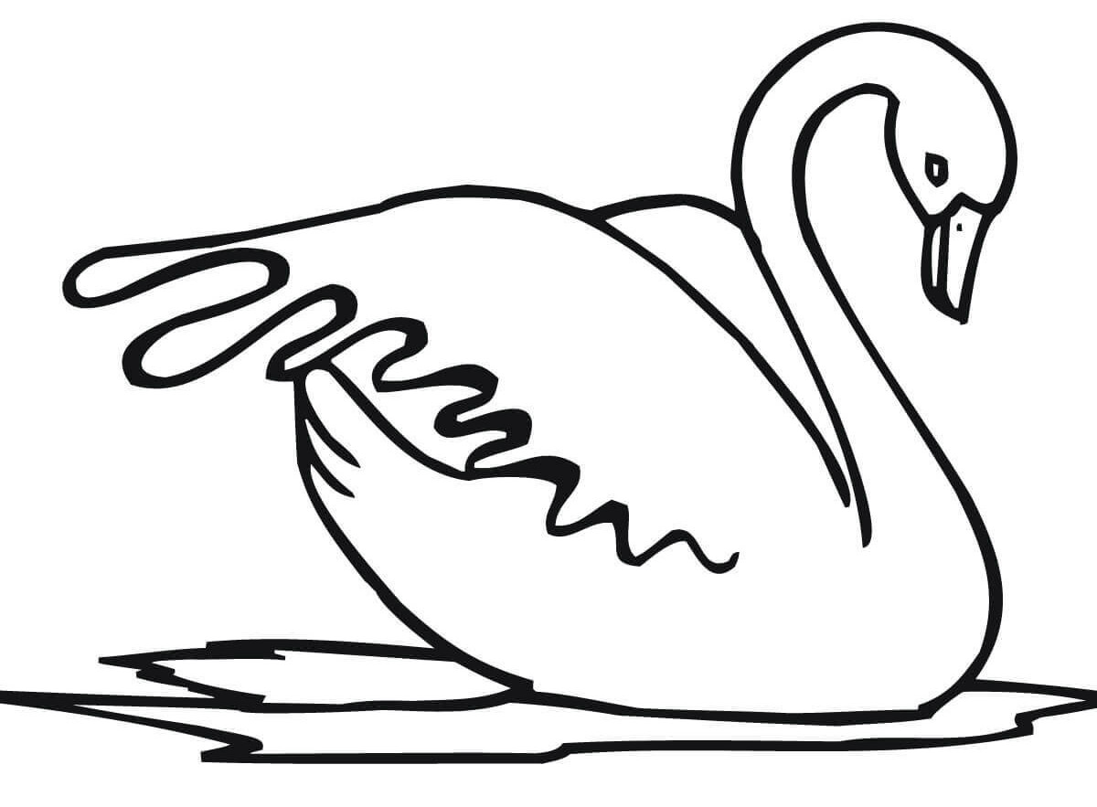 Swan coloring pages