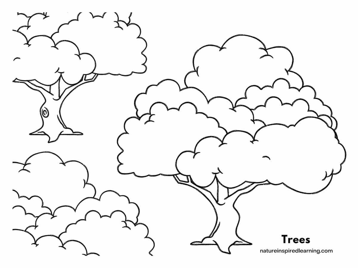 Tree coloring pages