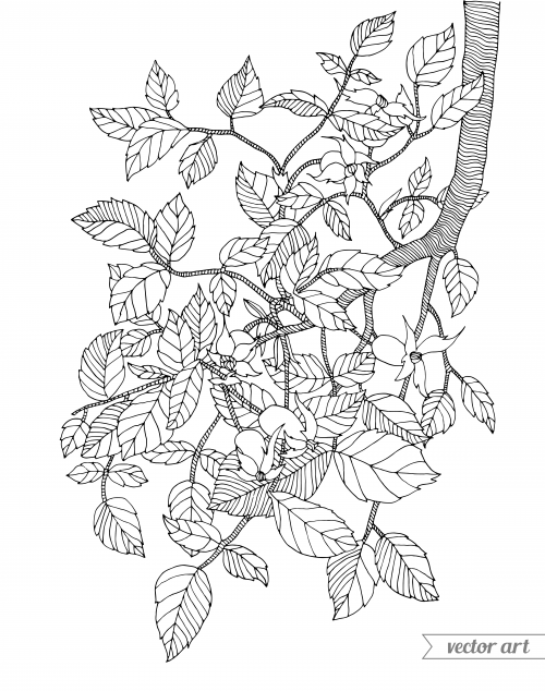 Branch coloring page