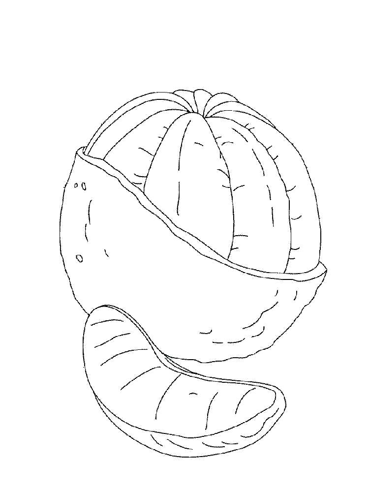 Coloring pages orange coloring sheets for preschoolers