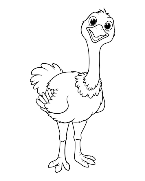 Page ostrich coloring pages vectors illustrations for free download