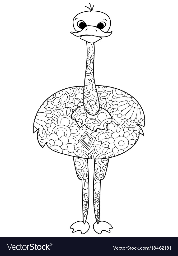 Mon ostrich coloring for adults bird royalty free vector