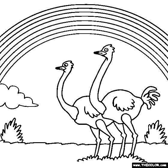 Rainbow coloring page rainbow and ostrich