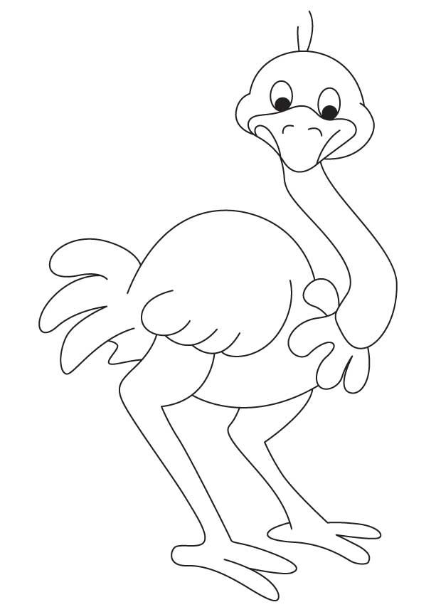 Asian ostrich coloring page download free asian ostrich coloring page for kids coloring pages coloring books cute coloring pages