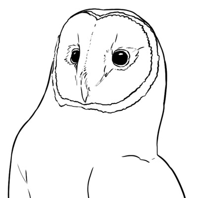 Coloring pages