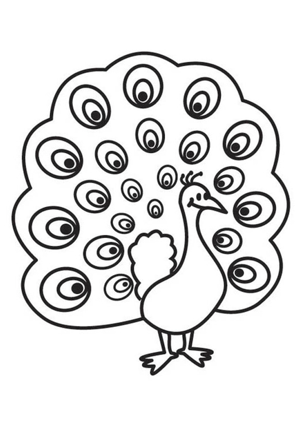 Coloring pages easy peacock coloring pages