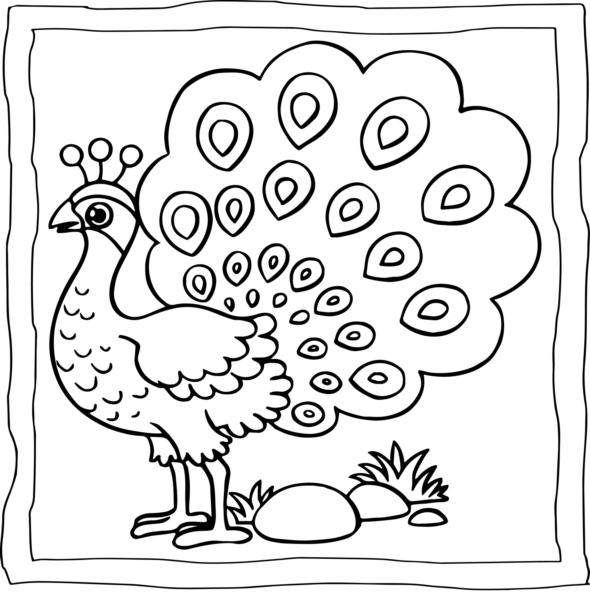 Peacock coloring book easy and fun peacock coloring pages for kids made by teachers