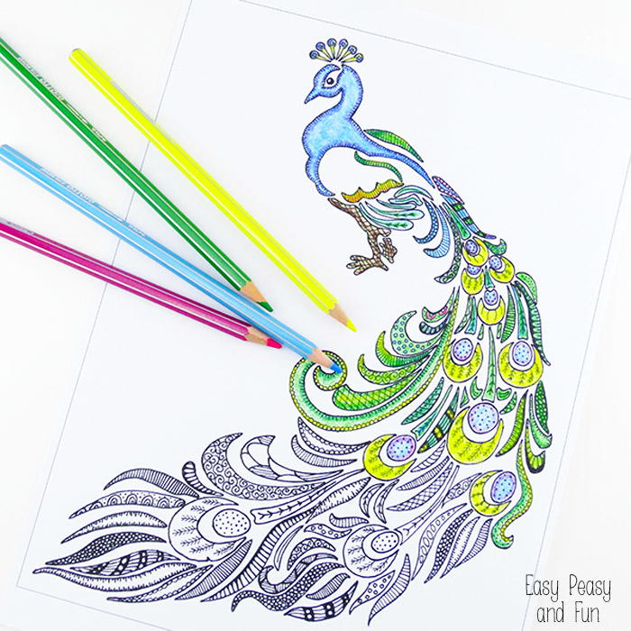 Peculiar peacock coloring sheet