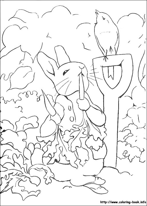 Peter rabbit coloring picture